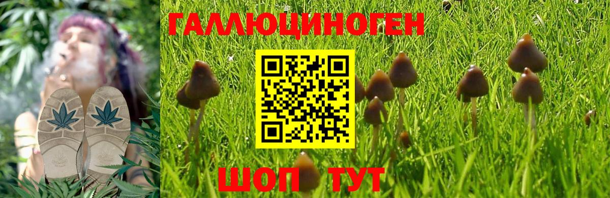 Галлюциногенные грибы Magic Shrooms Батайск